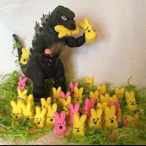 Meet your Posher, Nancy